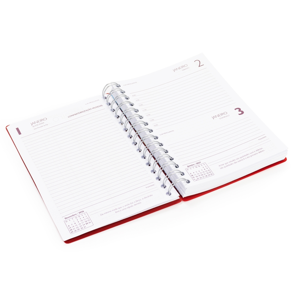 AGENDA DIÁRIA 2027 personalizada — Cadernetas, Agendas e Blocos de Notas — imagem 9