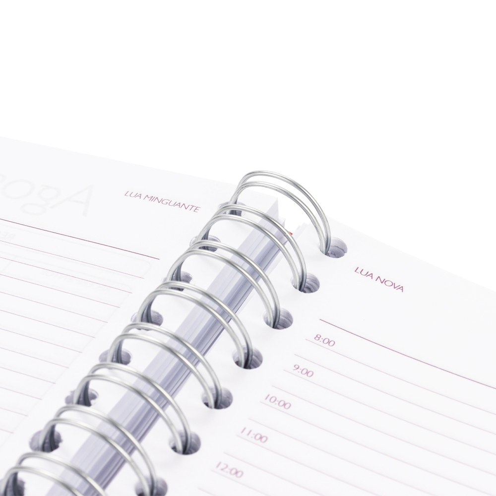 AGENDA DIÁRIA 2027 personalizada — Cadernetas, Agendas e Blocos de Notas — imagem 11